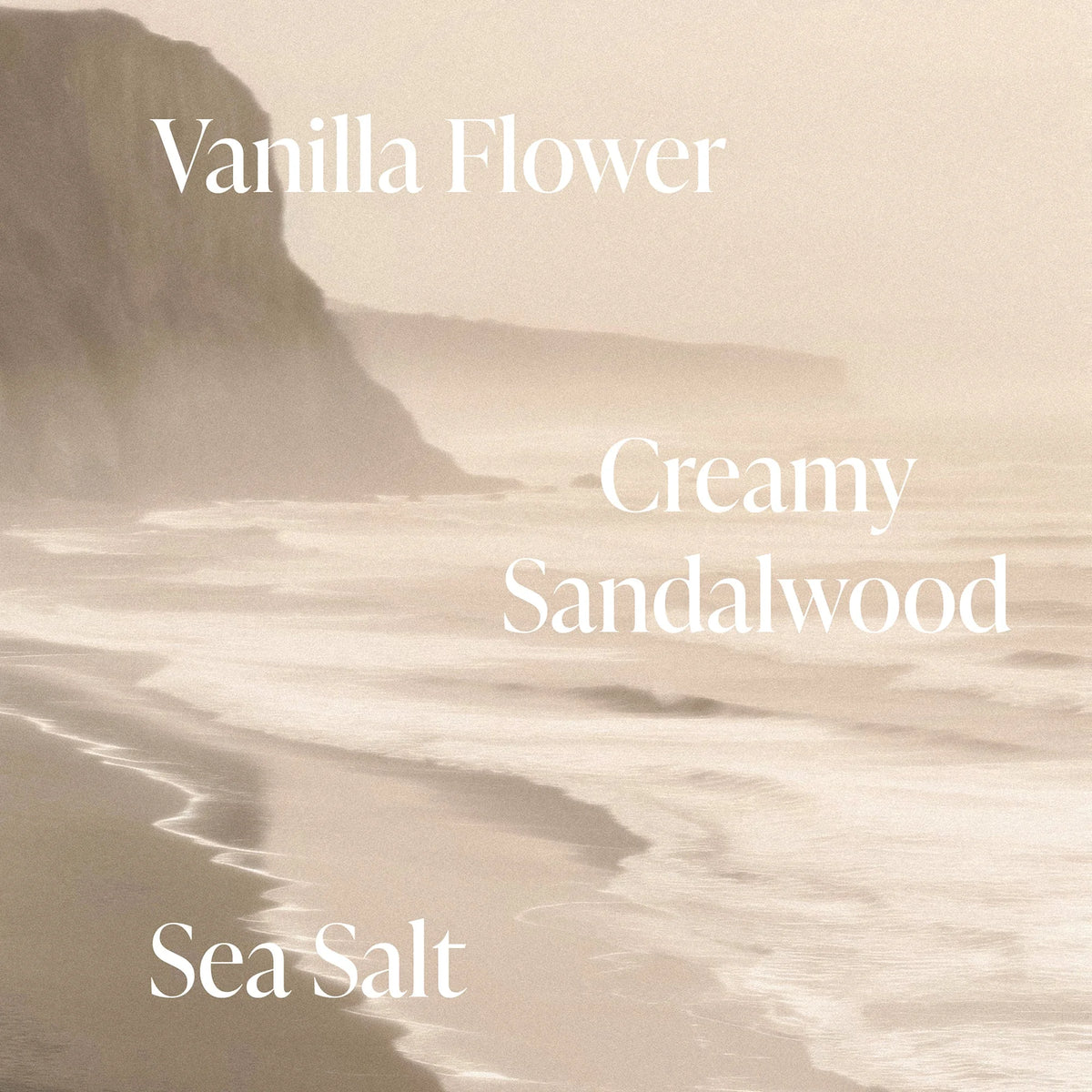 Salt Water Vanilla - Radiance Duo