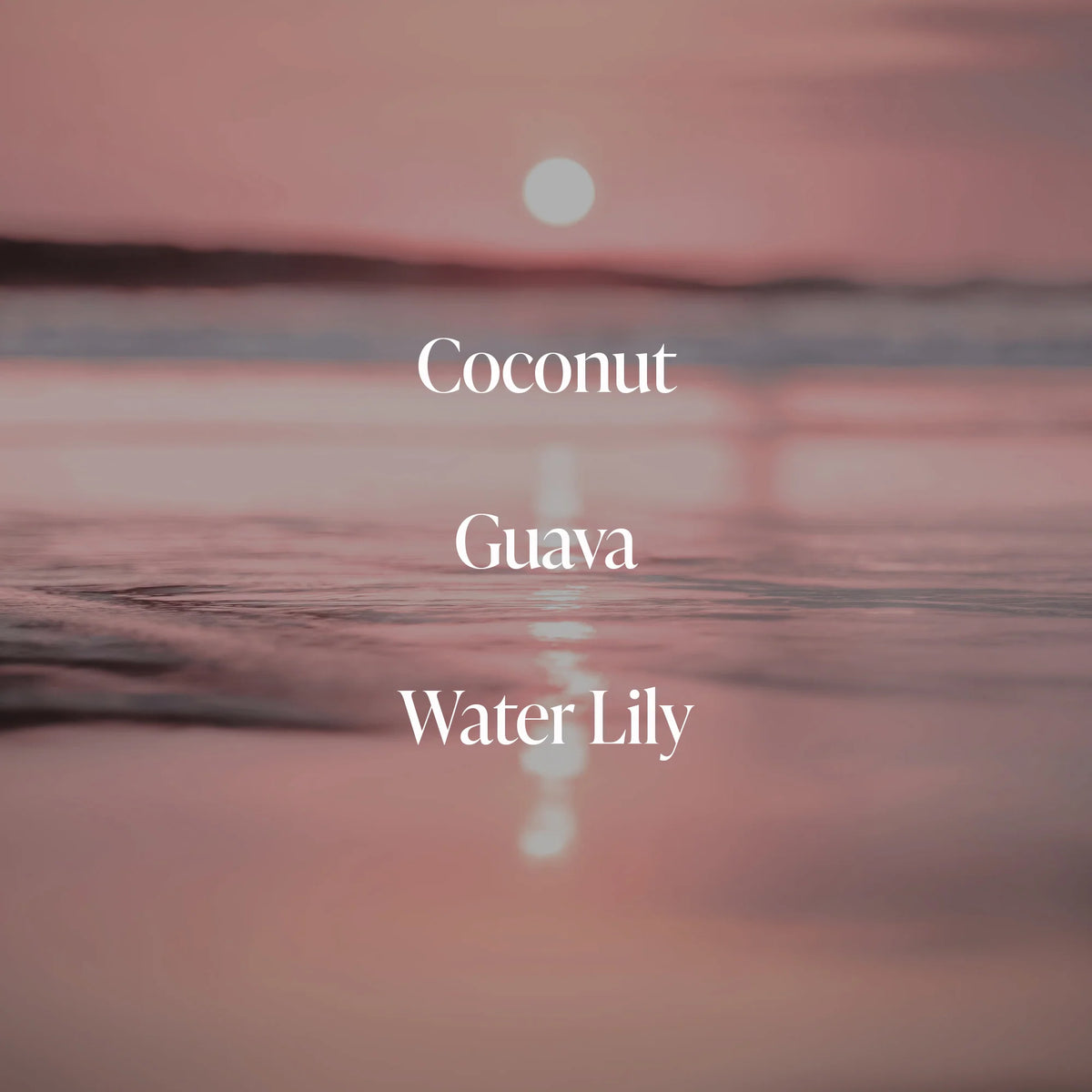 Coral Coast - Radiance Duo